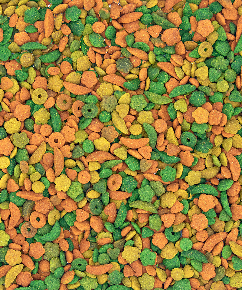 Versele-Laga P15 Tropical Parrot Mix 10kg